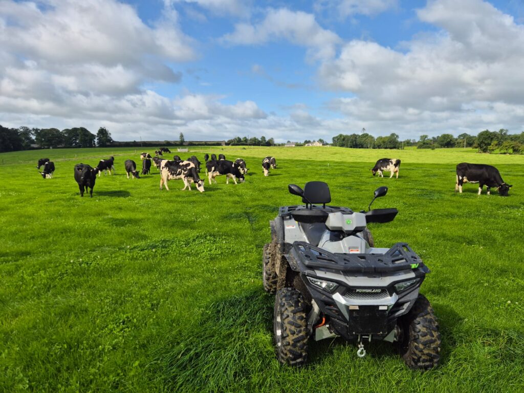 Out and about in Kells Co Meath