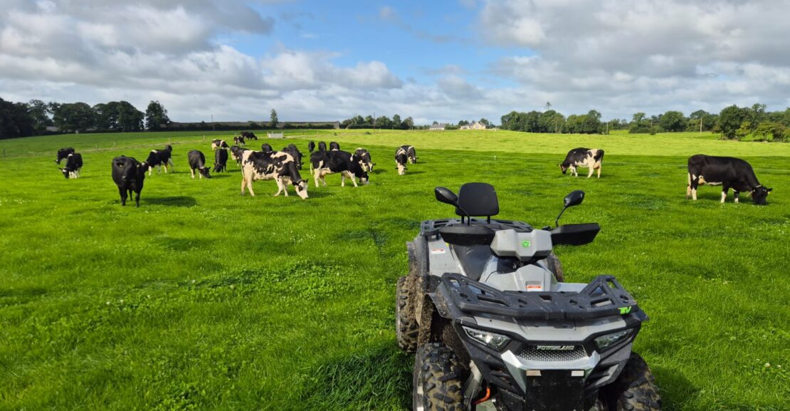 Out and about in Kells Co Meath