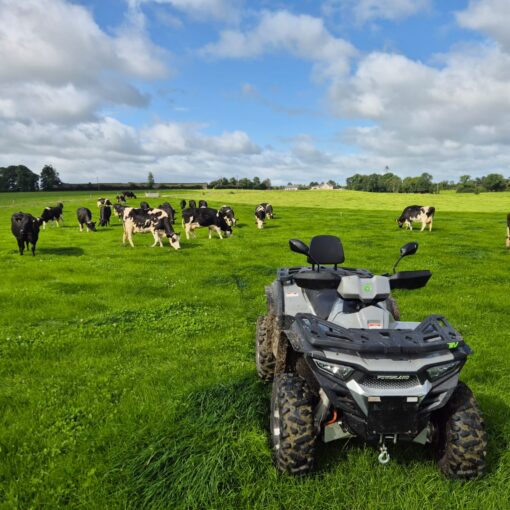 Tachyon Out and about in Kells Co Meath