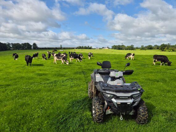 Tachyon Out and about in Kells Co Meath